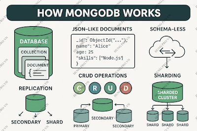 Cách Hoạt Động MongoDB (Database)